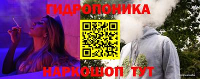 СК Краснодар