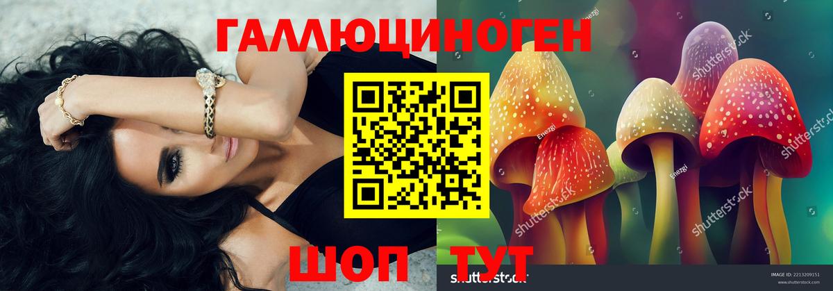 купить наркоту  Вход с VPN  Корсаков  Псилоцибиновые грибы Magic Shrooms  Псилоцибиновые грибы GOLDEN TEACHER 
